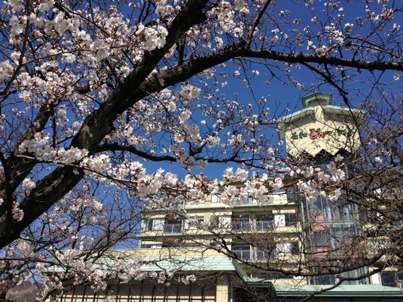 Isawa View Hotel Fuefuki Buitenkant foto
